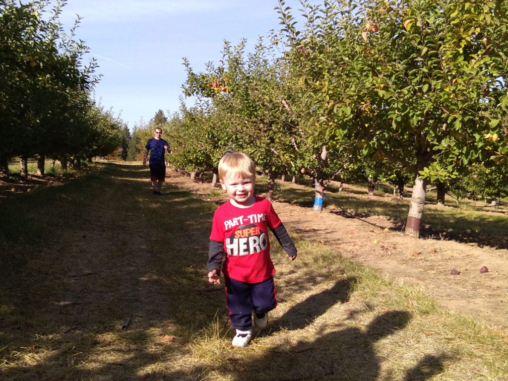 Apples Picking Day